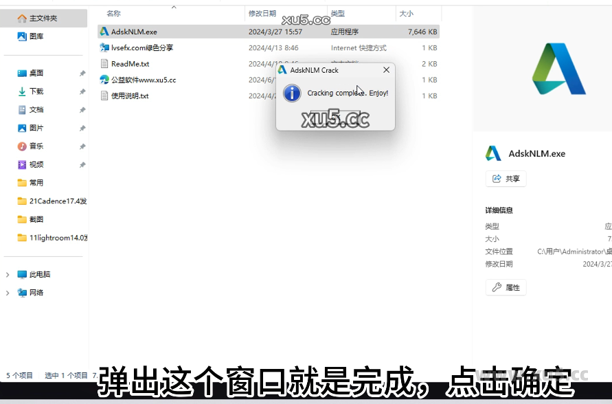 Revit 2025 安装选项设置图