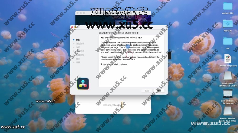 达芬奇18.6 for MAC 图文安装教程