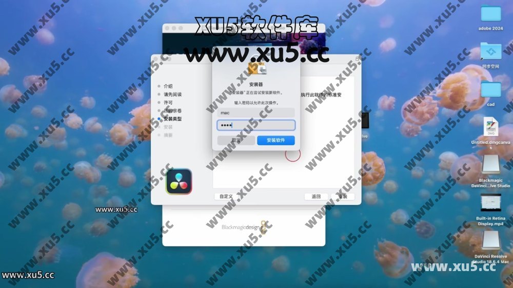 达芬奇18.6 for MAC 图文安装教程