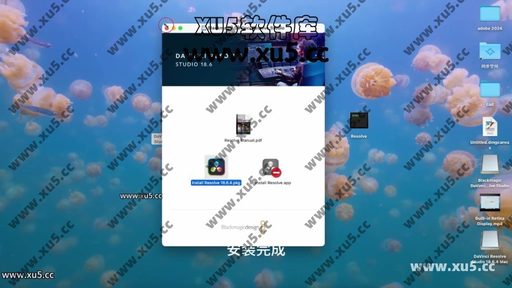 达芬奇18.6 for MAC 图文安装教程