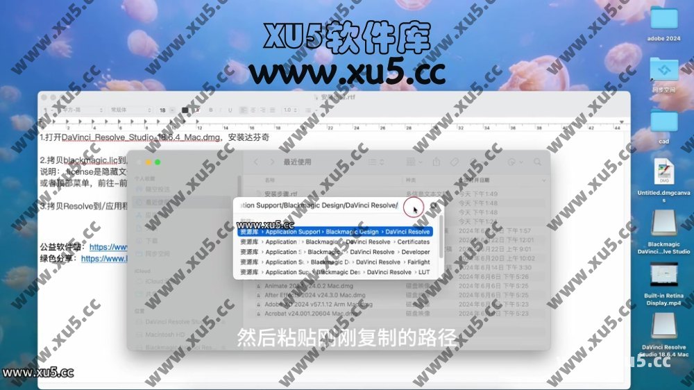 达芬奇18.6 for MAC 图文安装教程